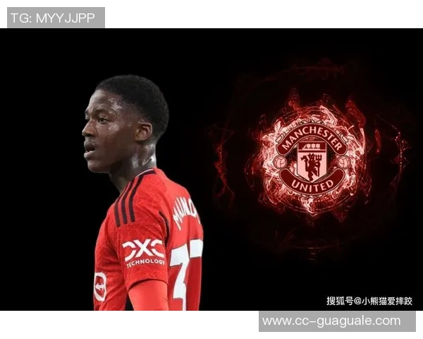 梅努参加世界杯的希望寄托在3月入选球队和伤病因素上